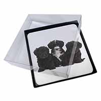 4x Yorkipoo Puppies Picture Table Coasters Set in Gift Box