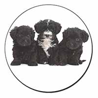 Yorkipoo Puppies Fridge Magnet Printed Full Colour