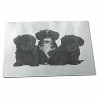 Large Glass Cutting Chopping Board Yorkipoo Puppies