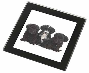 Yorkipoo Puppies Black Rim High Quality Glass Coaster