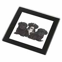 Yorkipoo Puppies Black Rim High Quality Glass Coaster