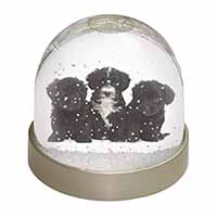 Yorkipoo Puppies Snow Globe Photo Waterball