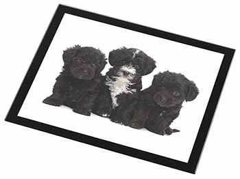 Yorkipoo Puppies Black Rim High Quality Glass Placemat