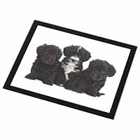 Yorkipoo Puppies Black Rim High Quality Glass Placemat