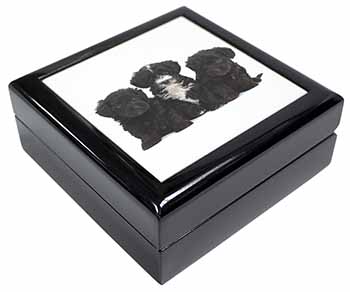 Yorkipoo Puppies Keepsake/Jewellery Box