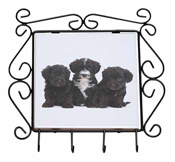 Yorkipoo Puppies Wrought Iron Key Holder Hooks