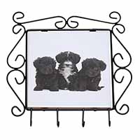 Yorkipoo Puppies Wrought Iron Key Holder Hooks