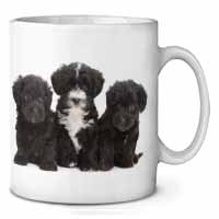 Yorkipoo Puppies Ceramic 10oz Coffee Mug/Tea Cup