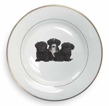 Yorkipoo Puppies Gold Rim Plate Printed Full Colour in Gift Box