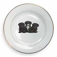 Yorkipoo Puppies Gold Rim Plate Printed Full Colour in Gift Box