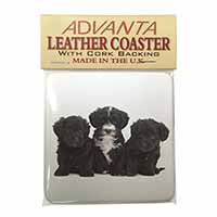 Yorkipoo Puppies Single Leather Photo Coaster