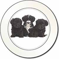 Yorkipoo Puppies Car or Van Permit Holder/Tax Disc Holder