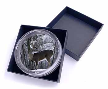 Deer Stag in Snow Glass Paperweight in Gift Box
