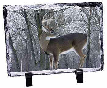 Deer Stag in Snow, Stunning Photo Slate