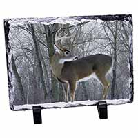 Deer Stag in Snow, Stunning Photo Slate Printed Full Colour - Advanta Group®