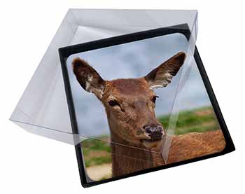4x A Pretty Red Deer Picture Table Coasters Set in Gift Box