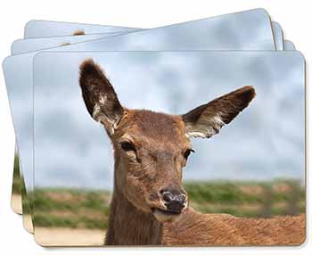A Pretty Red Deer Picture Placemats in Gift Box