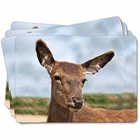 A Pretty Red Deer Picture Placemats in Gift Box