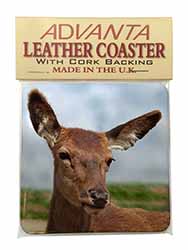 A Pretty Red Deer Single Leather Photo Coaster