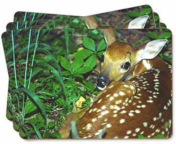 Baby Bambi Deer Picture Placemats in Gift Box