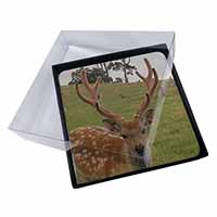 4x Beautiful Deer Stag Picture Table Coasters Set in Gift Box
