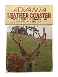 Beautiful Deer Stag Single Leather Photo Coaster