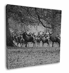 Stunning Deer and Stags in Forest Square Canvas 12"x12" Wall Art Picture Print