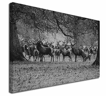 Stunning Deer and Stags in Forest Canvas X-Large 30"x20" Wall Art Print