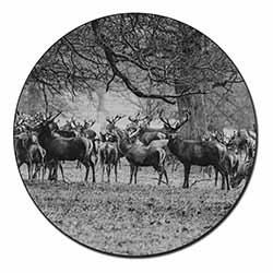Stunning Deer and Stags in Forest Fridge Magnet Printed Full Colour