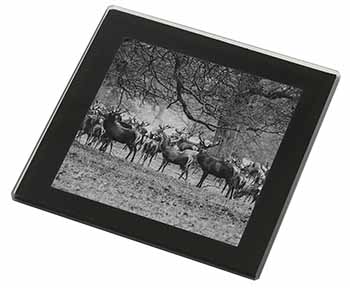 Stunning Deer and Stags in Forest Black Rim High Quality Glass Coaster