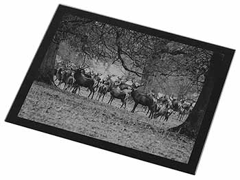 Stunning Deer and Stags in Forest Black Rim High Quality Glass Placemat