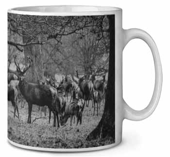 Stunning Deer and Stags in Forest Ceramic 10oz Coffee Mug/Tea Cup