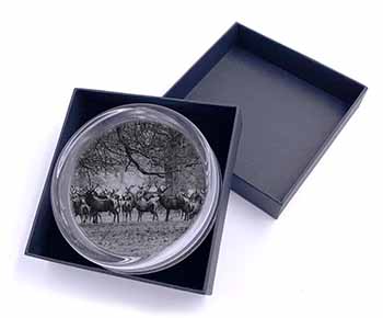 Stunning Deer and Stags in Forest Glass Paperweight in Gift Box