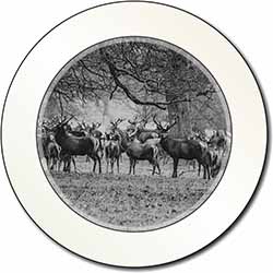 Stunning Deer and Stags in Forest Car or Van Permit Holder/Tax Disc Holder