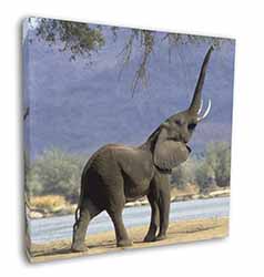 Baby Tuskers Elephant Square Canvas 12"x12" Wall Art Picture Print