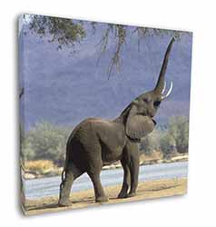 Baby Tuskers Elephant Square Canvas 12"x12" Wall Art Picture Print