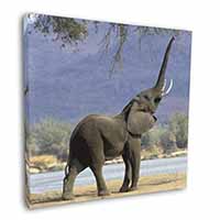 Baby Tuskers Elephant Square Canvas 12"x12" Wall Art Picture Print