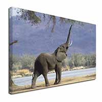 Baby Tuskers Elephant Canvas X-Large 30"x20" Wall Art Print