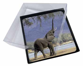 4x Baby Tuskers Elephant Picture Table Coasters Set in Gift Box