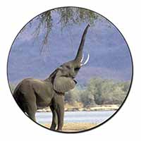 Baby Tuskers Elephant Fridge Magnet Printed Full Colour