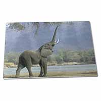 Large Glass Cutting Chopping Board Baby Tuskers Elephant