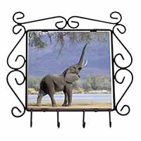Baby Tuskers Elephant Wrought Iron Key Holder Hooks