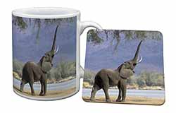 Baby Tuskers Elephant Mug and Coaster Set