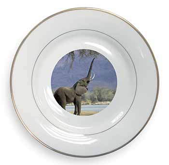 Baby Tuskers Elephant Gold Rim Plate Printed Full Colour in Gift Box