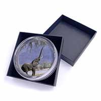 Baby Tuskers Elephant Glass Paperweight in Gift Box