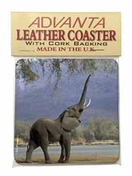 Baby Tuskers Elephant Single Leather Photo Coaster