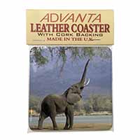Baby Tuskers Elephant Single Leather Photo Coaster
