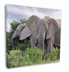 African Elephants Square Canvas 12"x12" Wall Art Picture Print