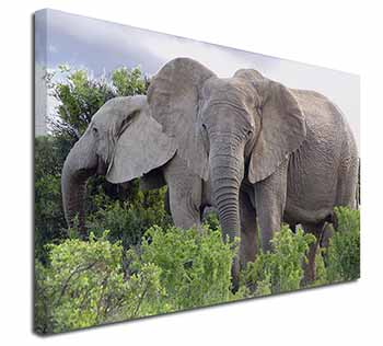 African Elephants Canvas X-Large 30"x20" Wall Art Print