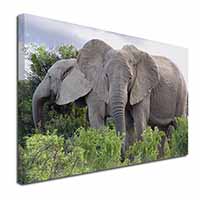 African Elephants Canvas X-Large 30"x20" Wall Art Print